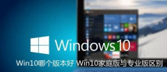 windows10ͥרҵʲô