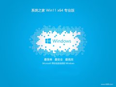 ϵͳ֮⼤win11 64λȥv2024.05